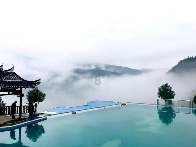 探索blbl下载目录热话题,聚焦红迪网
